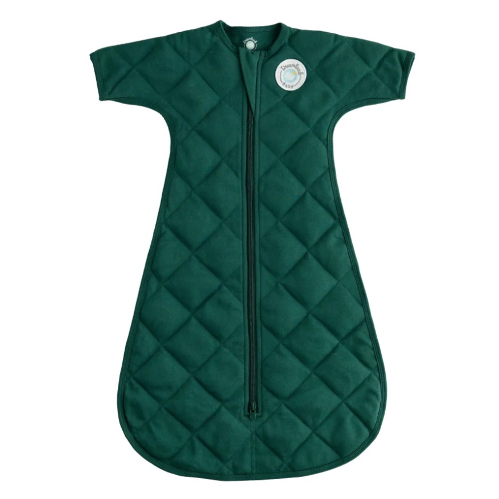 Dreamland transitions sleep sack NWT